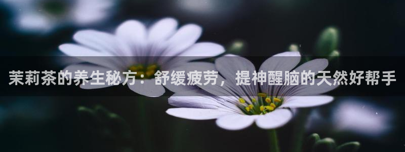 彩名堂官网在线计划怎么不更新了