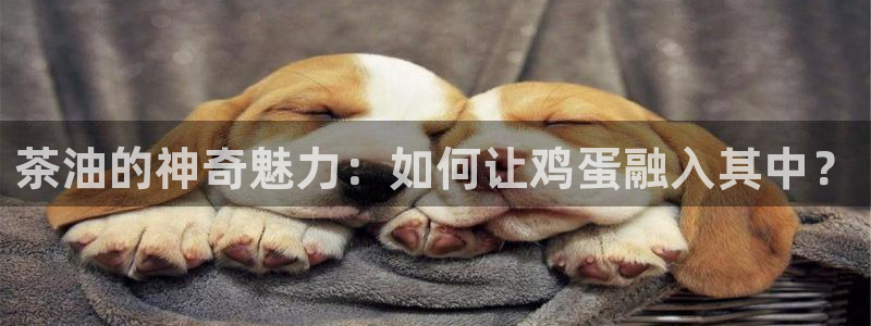 彩名堂