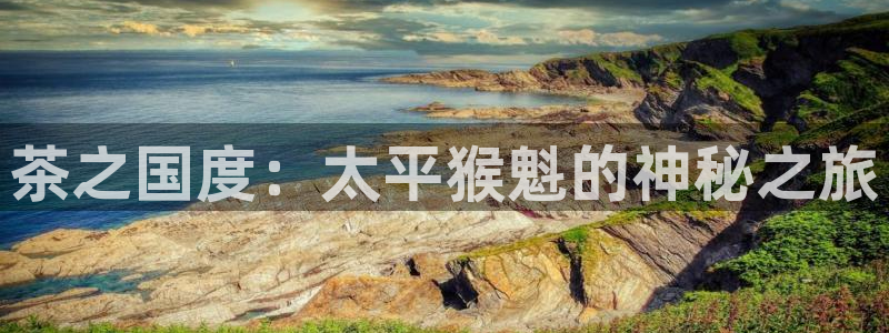 彩名堂官方下载地址