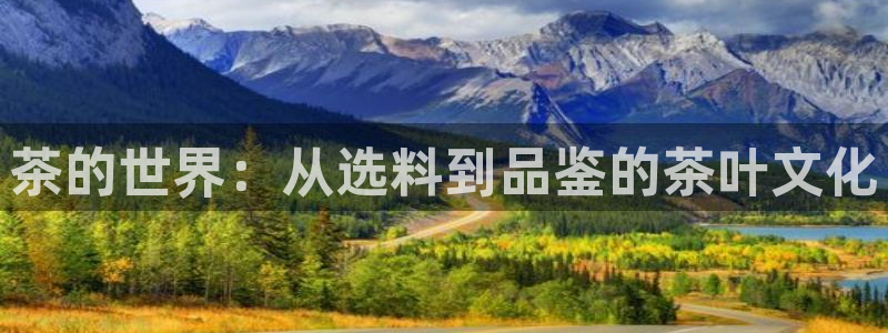 彩名堂官方平台