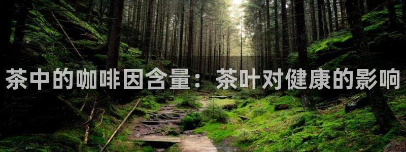 彩名堂使用方法