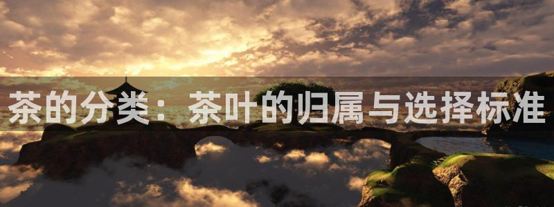 彩名堂排三