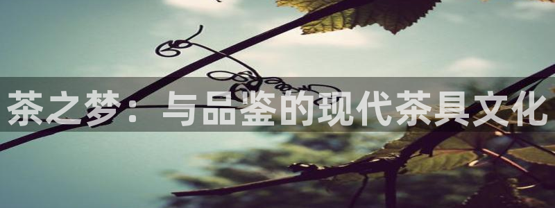 下载彩名堂预测计划软件安装