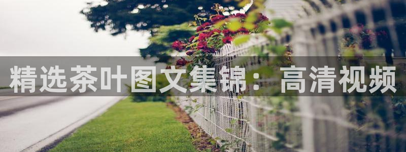 彩名堂客户端是永久免费吗是真的吗安全吗