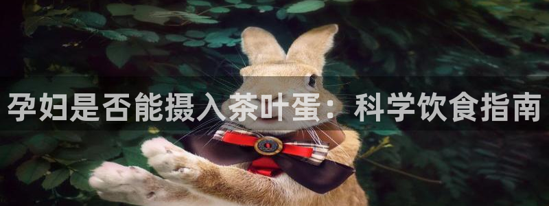 彩名堂计划技巧有哪些
