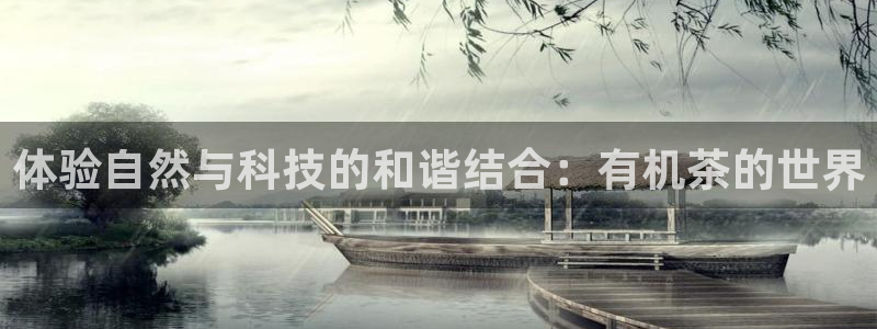 彩名堂免费计划下载