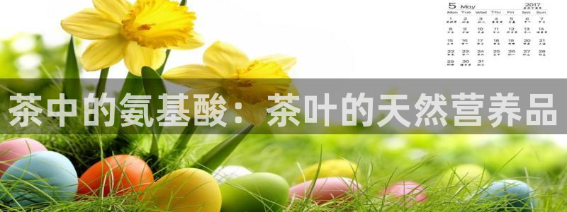 为什么彩名堂今天不能用