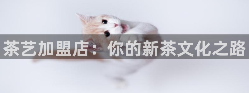 彩名堂计划怎么跟,为什么我一跟就挂