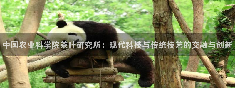 彩名堂移动客户端怎么下载