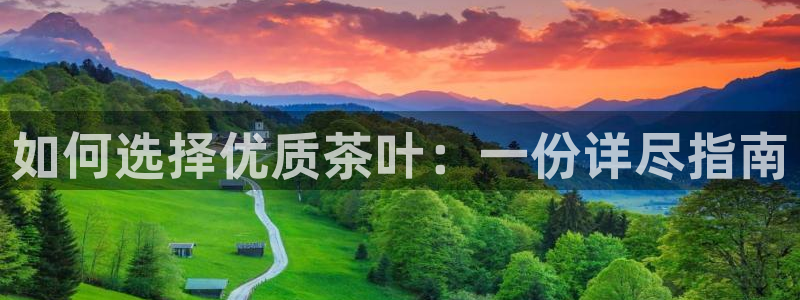 彩名堂人工计划客户端