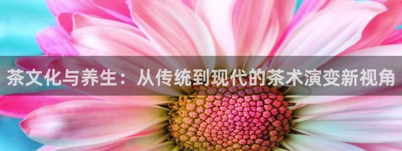 彩名堂计划最新版手机版
