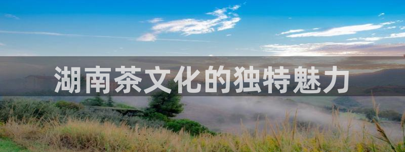 彩名堂合作655560