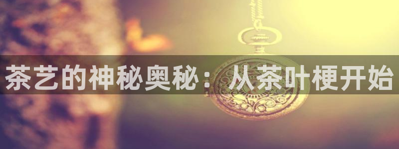彩名堂官方软件下载