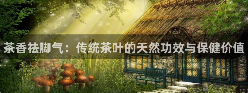彩名堂免费计划官网购彩计划