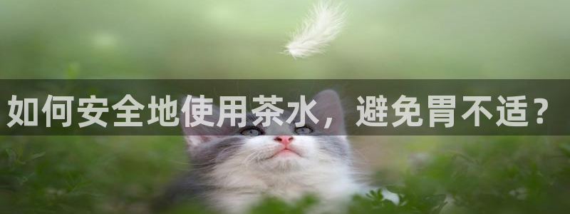 如何进入彩名堂官网更新
