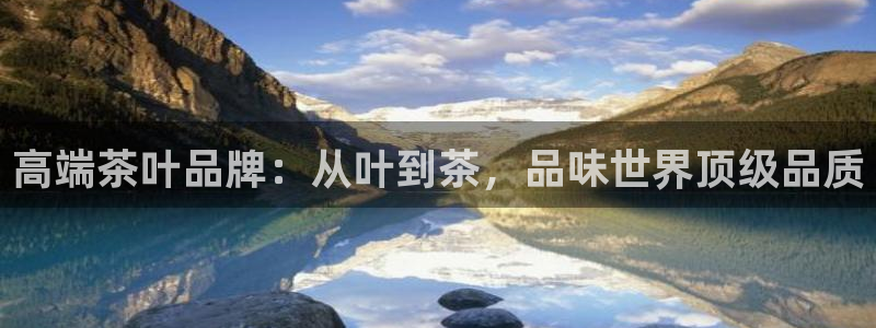 彩名堂计划软件下载