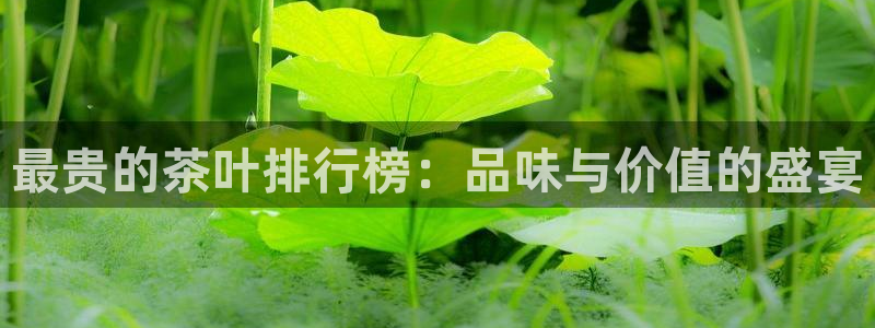 彩名堂免费计划5.0使用方法