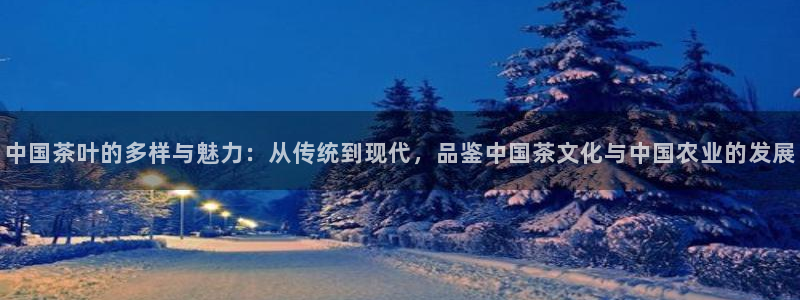 彩名堂使用方法