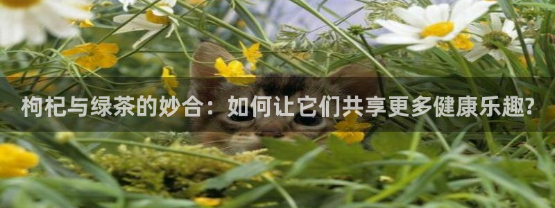 彩名堂官网计划怎么下载