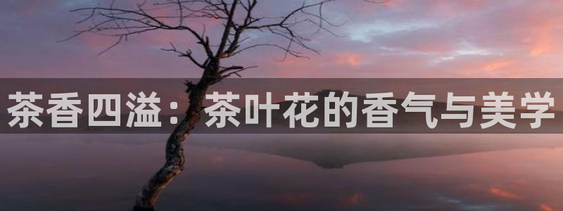 彩名堂彩