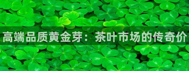 彩名堂怎么跟计划才不连挂在一起
