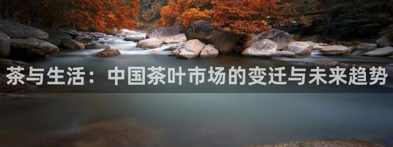 如何进入彩名堂官网更新