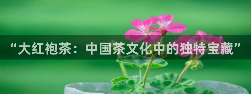 彩名堂排三