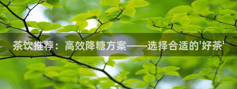 彩名堂和01计划哪个好