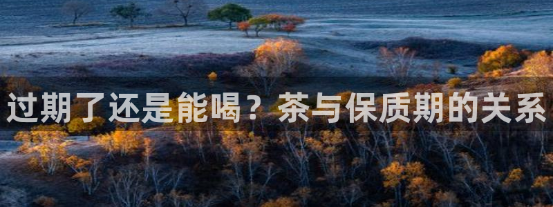 彩名堂预测网站
