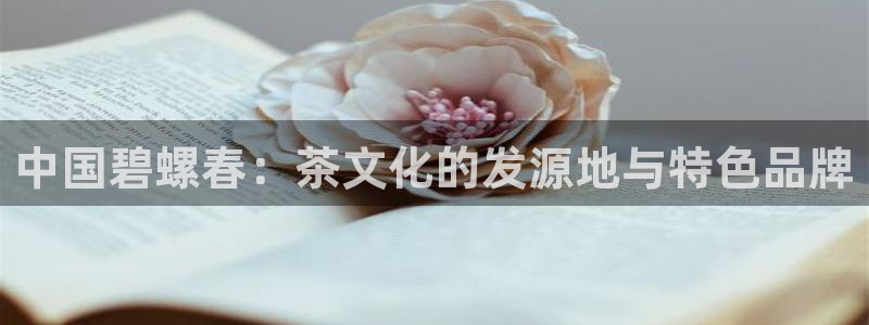 彩名堂.netnet