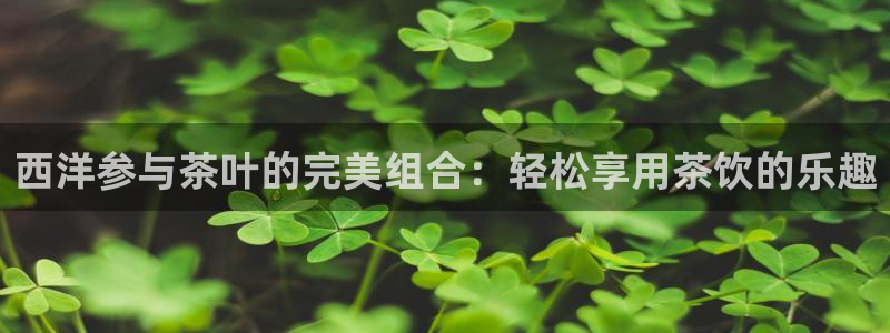 彩名堂移动客户端