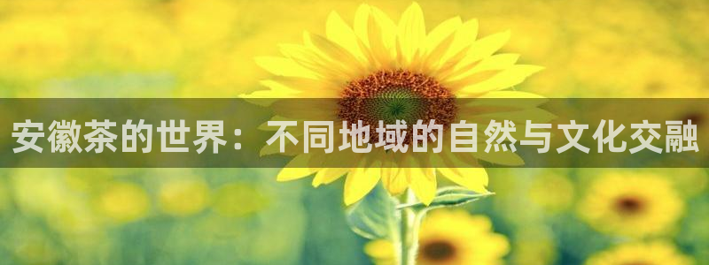 彩名堂使用方法