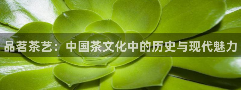 彩名堂还能用吗