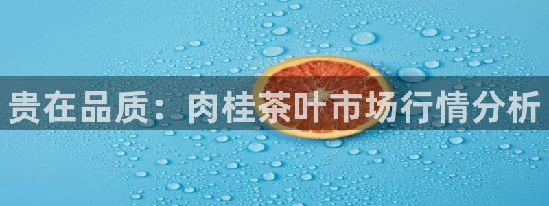彩名堂5.0计划永久免费版为什么下不了