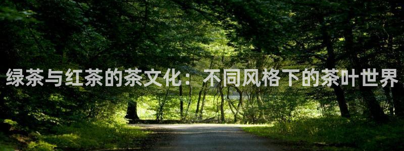 彩名堂怎么打最稳