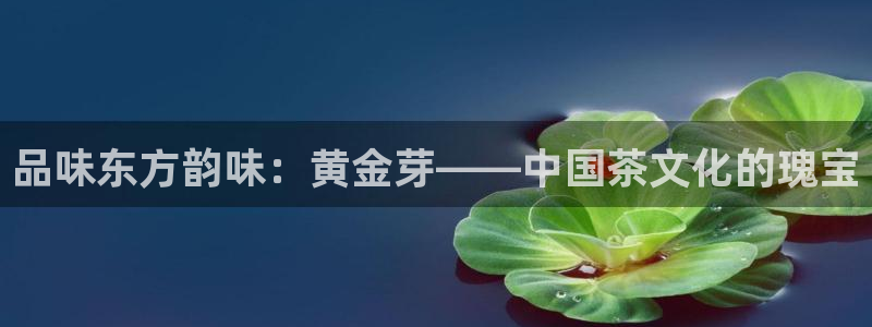 彩名堂还可以用吗