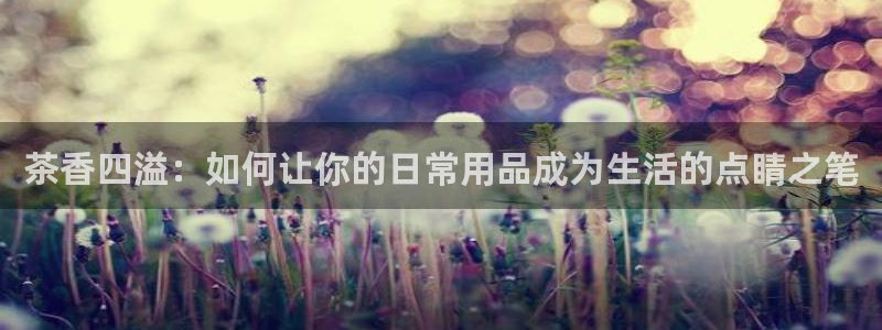 老版本彩名堂计划软件
