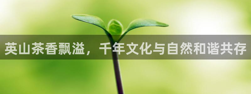 彩名堂还可以用吗