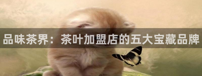 彩名堂好用还是千里马好用