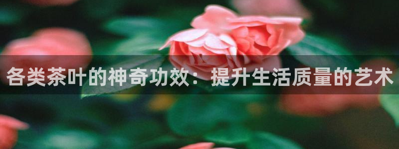 彩名堂免费计划软件下载