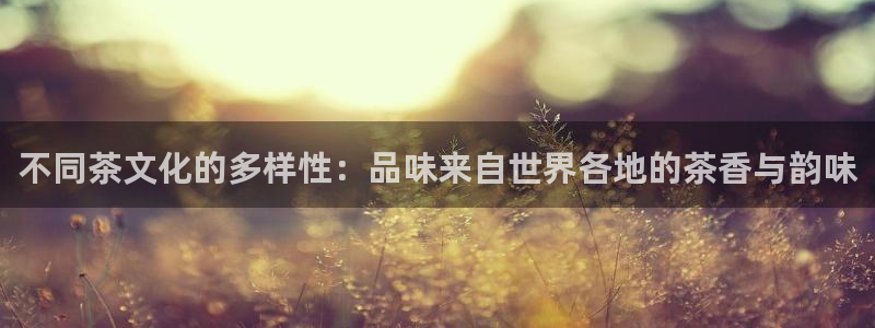 彩名堂怎么用不了了