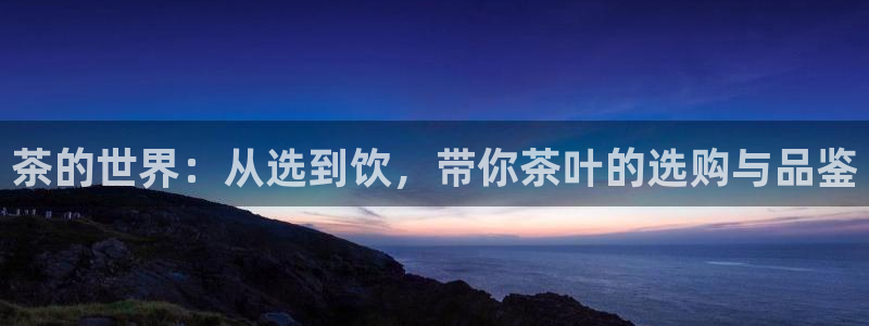 彩名堂安卓客户端官网下载