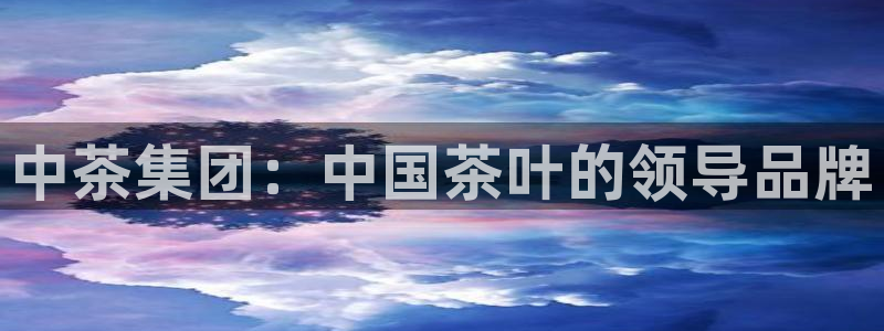 彩名堂计划怎么出的