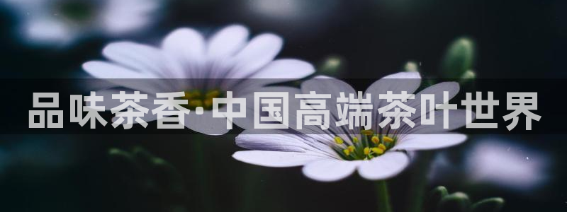 彩名堂App下载