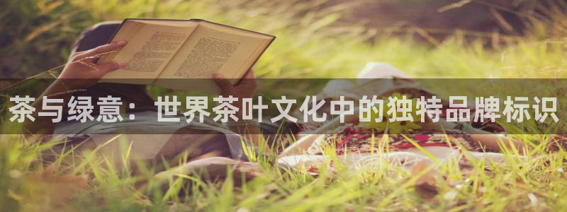 彩名堂使用方法