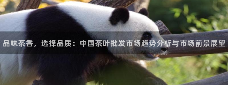 彩名堂一直不出结果怎么回事儿