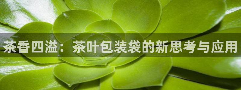 下载彩名堂预测计划软件安卓