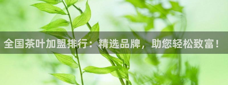 彩名堂人工计划怎么找不到下载了?
