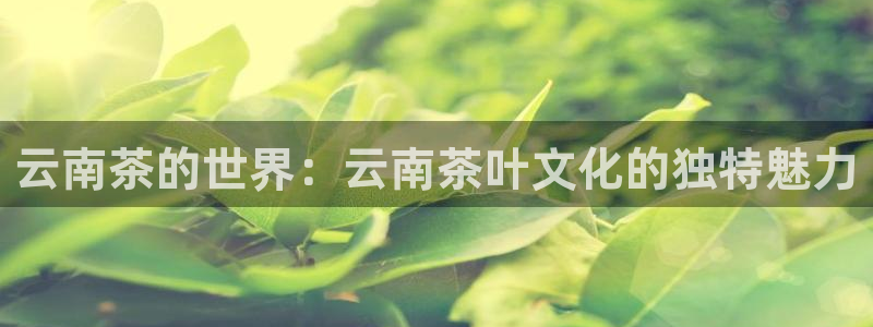 彩名堂改名稻草人了吗是真的吗