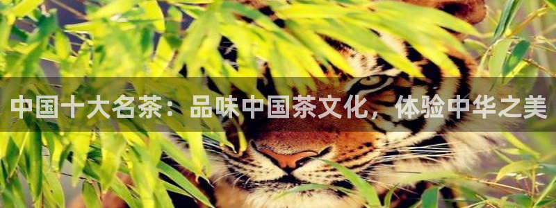 彩名堂为什么打不开